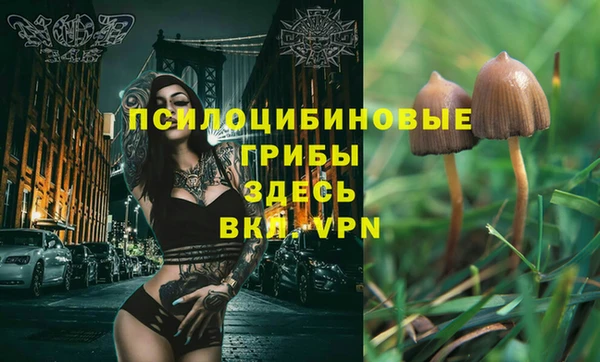 соль курить ск Верхний Тагил