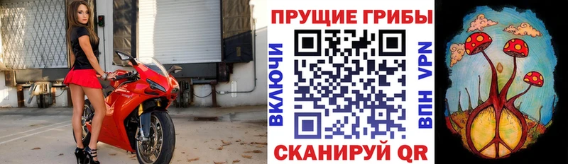 Галлюциногенные грибы мицелий  hydra сайт  Гагарин  наркошоп 